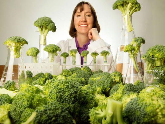 broccoli study